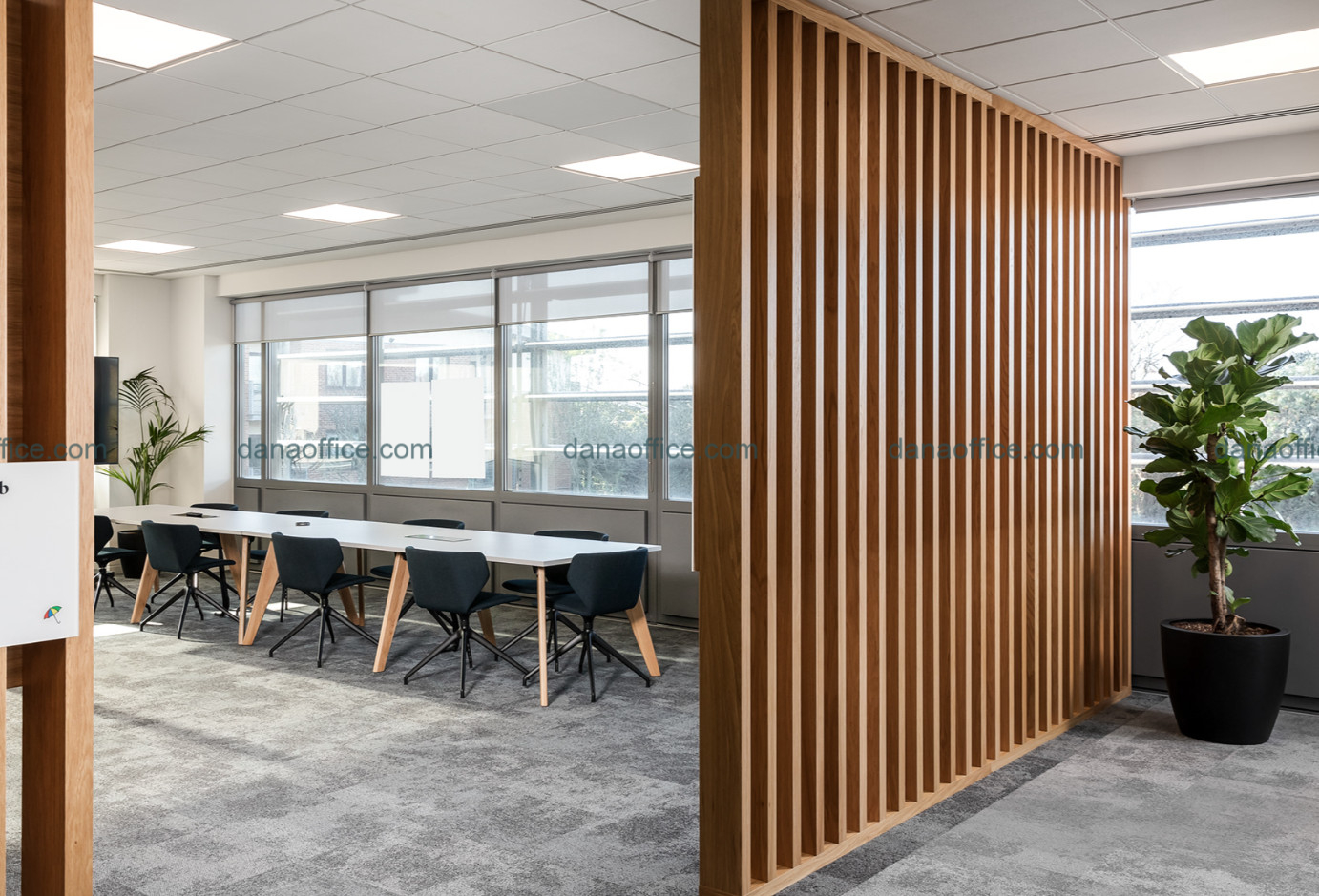 Phân chia không gian hợp lý