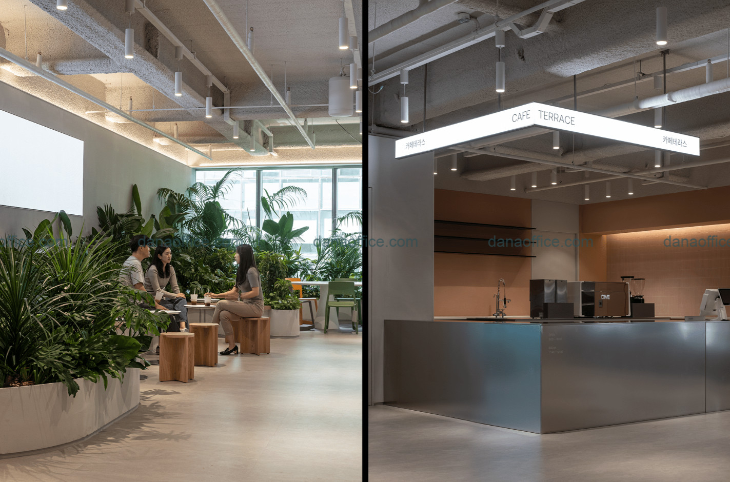 Thiết kế văn phòng xanh