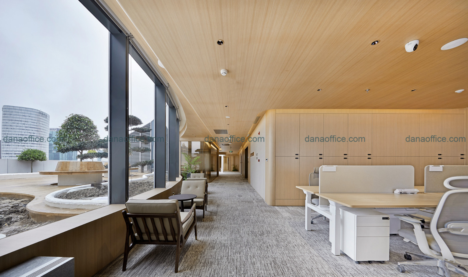 Thiết kế văn phòng du học sáng sủa, thoáng mát