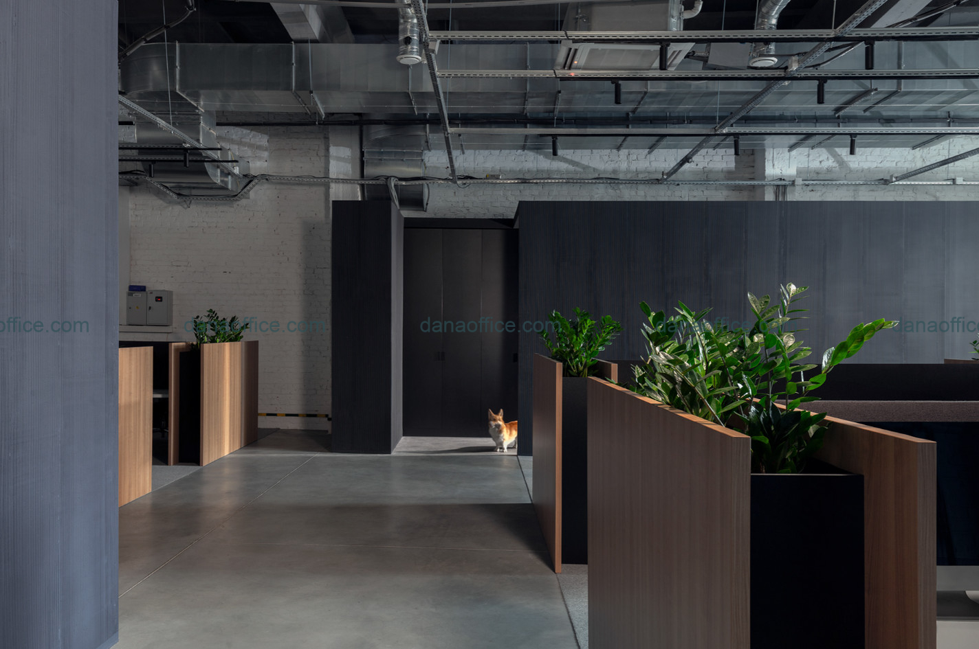 Thiết kế cây xanh trong văn phòng